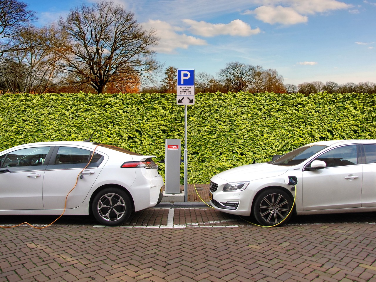 Electric Cars at Charging Station