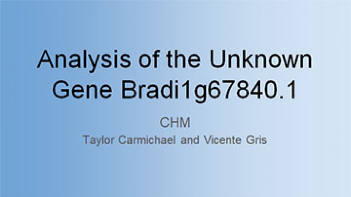 Analysis of the Unknown Gene Bradi1g67840.1
