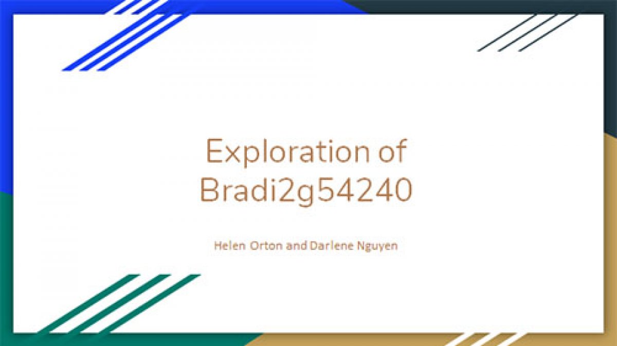 Exploration of Bradi2g54240