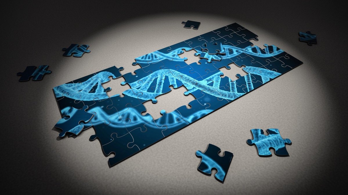 Puzzle Piece DNA for How Regulatory DNA Has Evolved To Impact Aging of the Brain