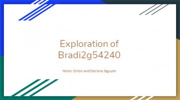 Exploration of Bradi2g54240